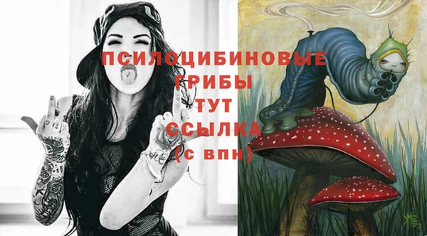 бошки Богданович