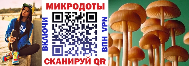 Купить  Анжеро-Судженск  Галлюциногенные грибы прущие грибы 